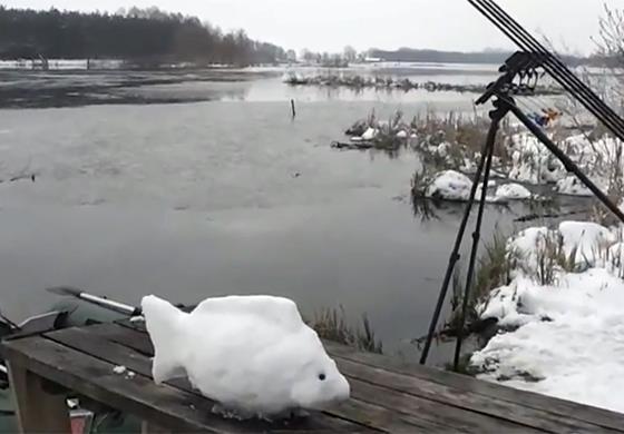 gigantii  albi - 90554700928530630541452568238n.jpg